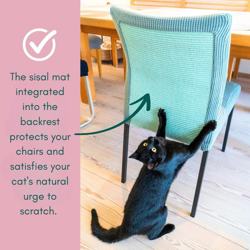 TIJDELIJK 50% KORTING | ScratchSeat™