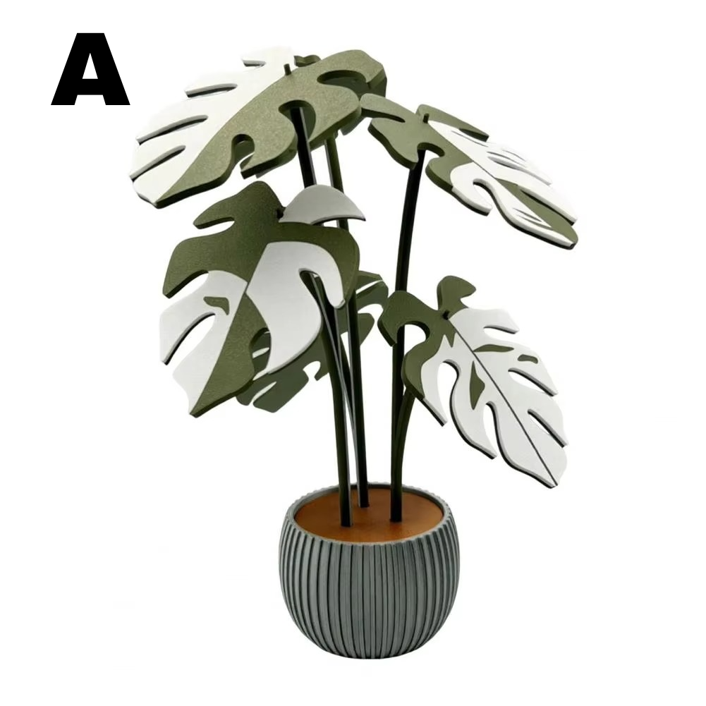 TIJDELIJK 50% KORTING | TropiCoast™