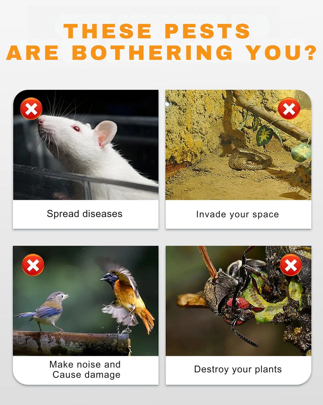 1 + 1 GRATIS VANDAAG | SolarGuard™