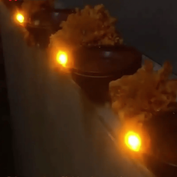 12 + 12 GRATIS VANDAAG  Flamora™ Water Diyas