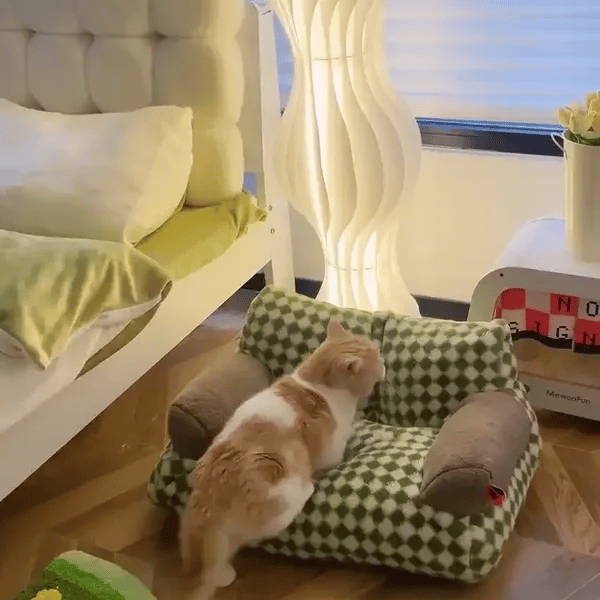 TIJDELIJK 50% KORTING  CozyLounge™