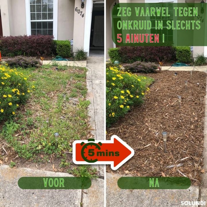 TIJDELIJK 50% KORTING | WeedBuster™ | Zeg vaarwel tegen onkruid in seconden!