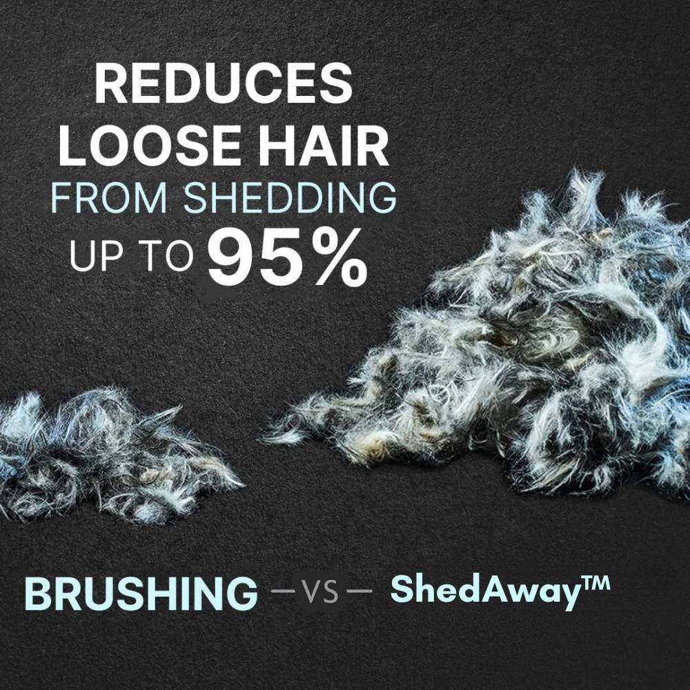 TIJDELIJK 50% KORTING | ShedAway™