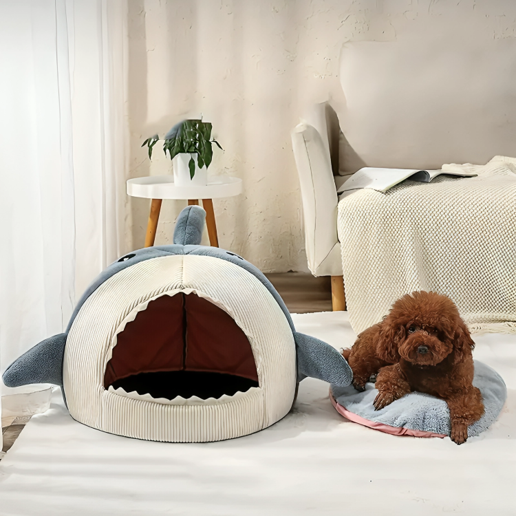 50% OFF VANDAAG | SharkSnug™