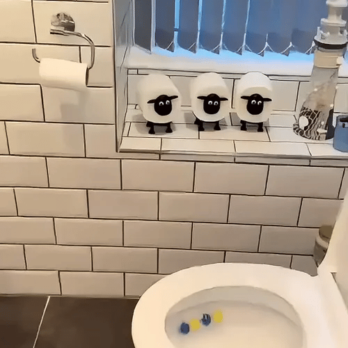 1 + 1 GRATIS VANDAAG  BaaRoll™