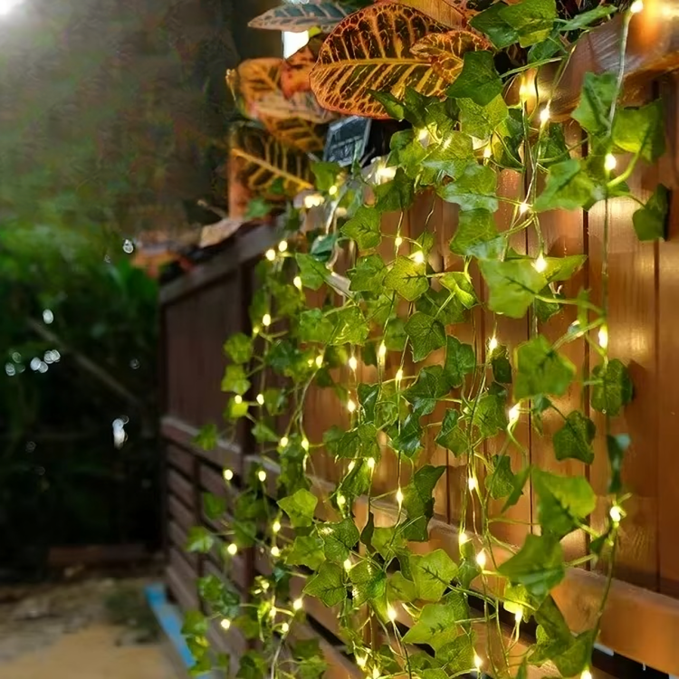 TIJDELIJK 50% KORTING | VineLustra™