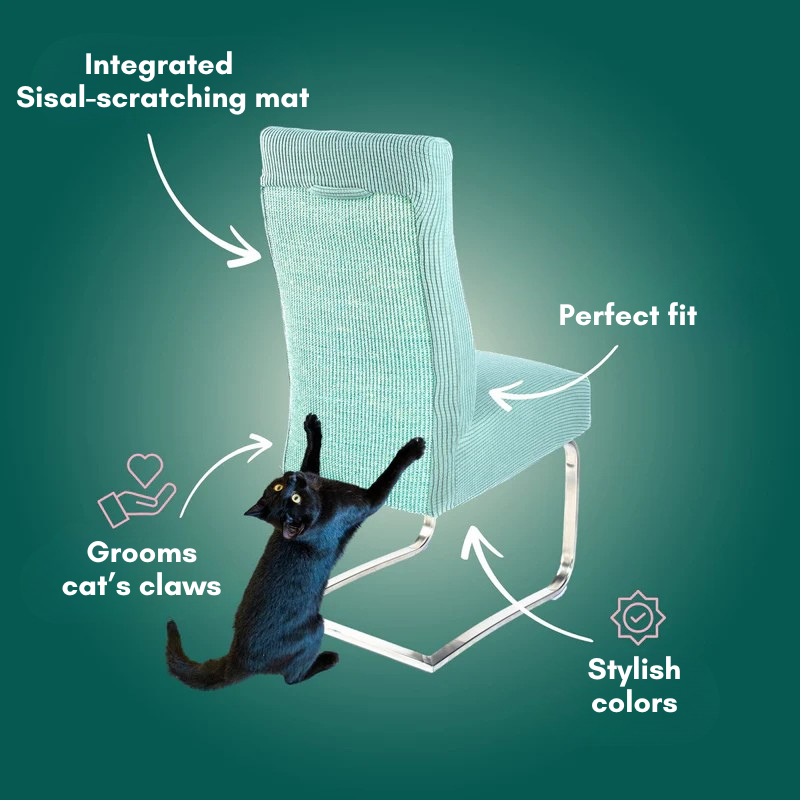 TIJDELIJK 50% KORTING | ScratchSeat™