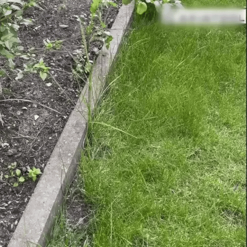 TIJDELIJK 50% KORTING  GreenTrim™