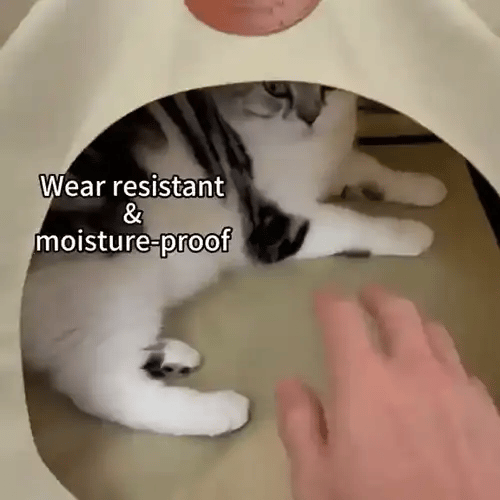 TIJDELIJK 50% KORTING  PawTent™