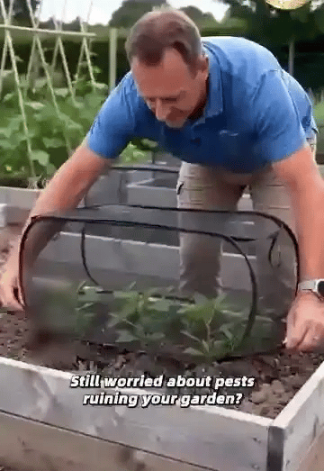 TIJDELIJK 50% KORTING  PlantGuard™