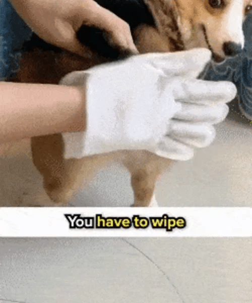 1 + 1 GRATIS HEUTE  PawFresh™