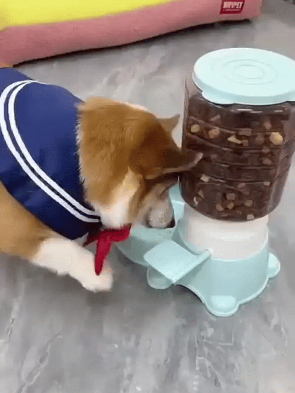 TIJDELIJK 50% KORTING  PawSmart™