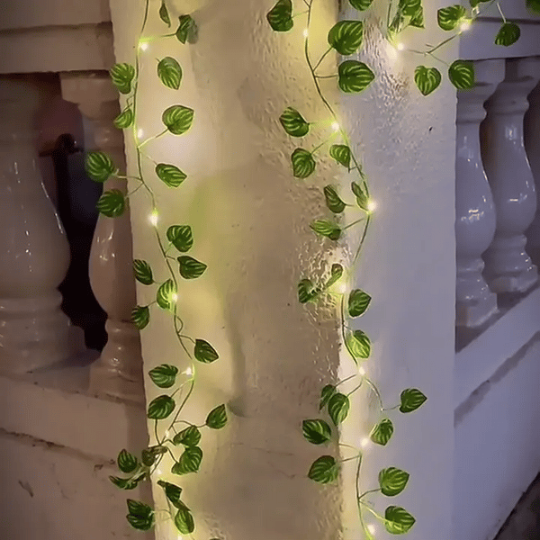 TIJDELIJK 50% KORTING  VineLustra™ 