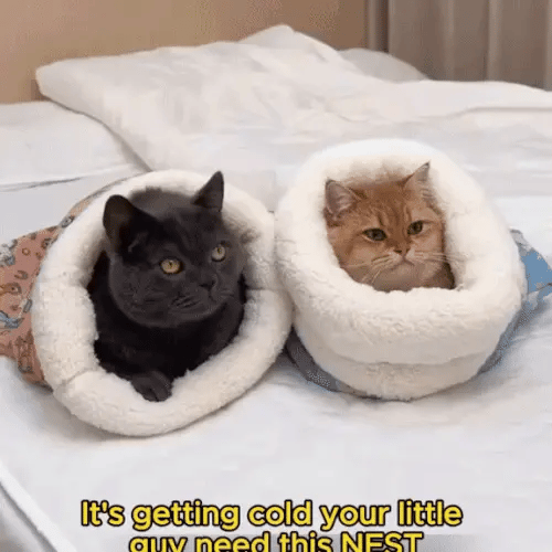1 + 1 GRATIS VANDAAG  PurrSack™
