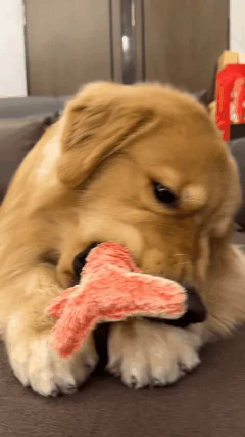 TIJDELIJK 50% KORTING  Flopster™