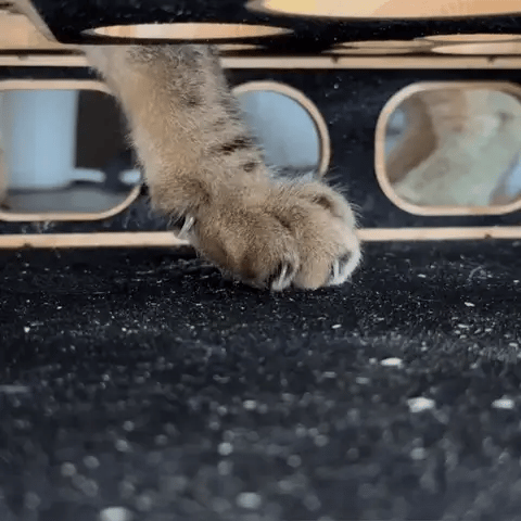 TIJDELIJK 50% KORTING  ScratchHub™ 