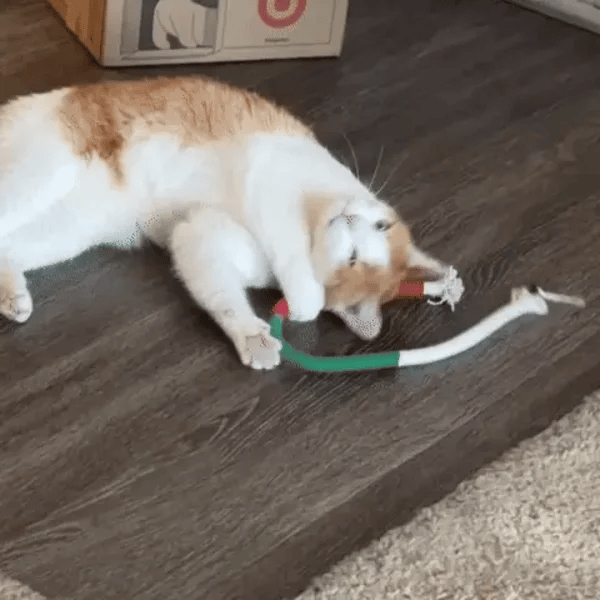 3 + 3 GRATIS VANDAAG  KittyKnot™ 