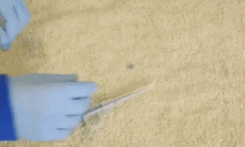 1 + 1 GRATIS VANDAAG  PawPiller™