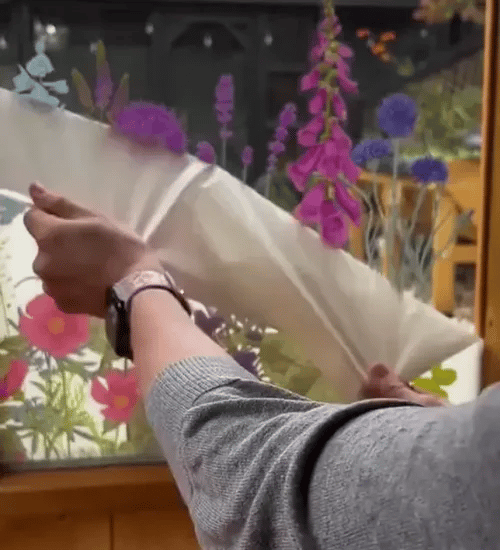 TIJDELIJK 50% KORTING  VividBlooms™