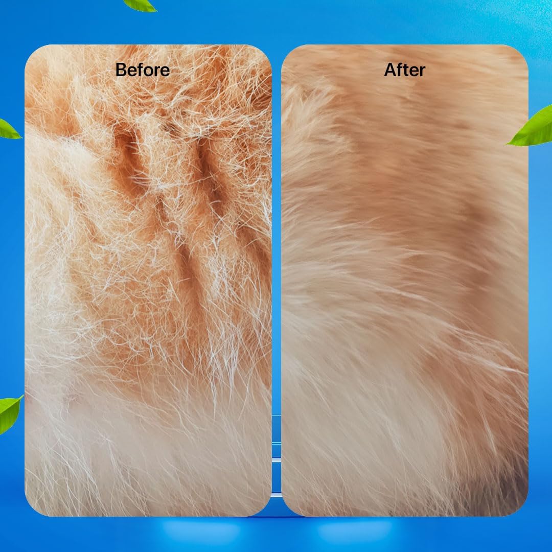 VANDAAG 1 + 1 GRATIS | PawFresh™