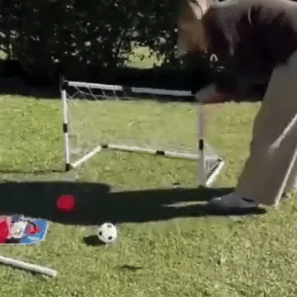 TIJDELIJK 50% KORTING  HoopKick™