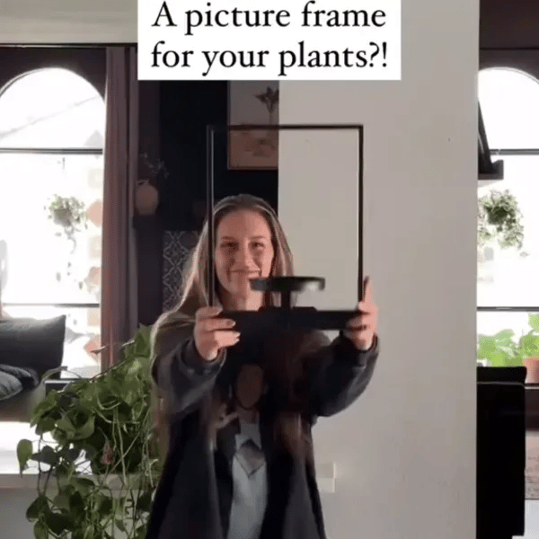 TIJDELIJK 50% KORTING  FloraView™