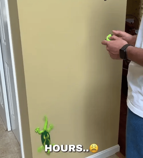 TIJDELIJK 50% KORTING  CrawliesBot™