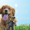 ToughTeddy™ | Onverwoestbaar beer kauwspeeltje voor honden