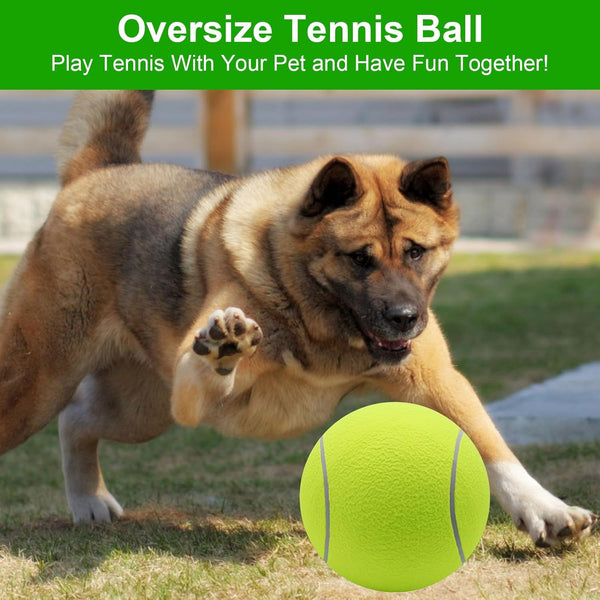 TIJDELIJK 50% KORTING  MegaFetch™