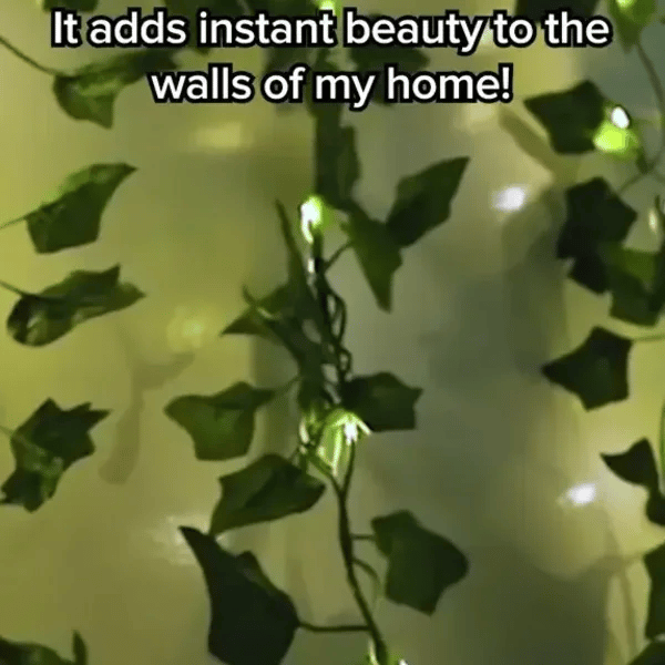 TIJDELIJK 50% KORTING  VineLustra™ 