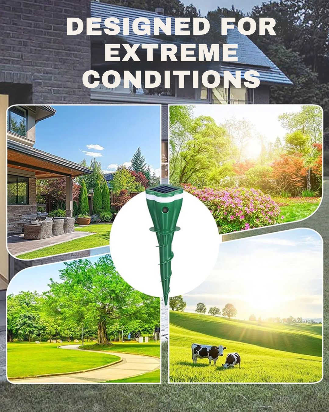 1 + 1 GRATIS VANDAAG | SolarGuard™