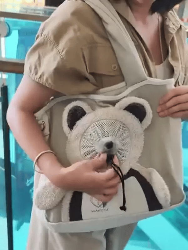 TIJDELIJK 50% KORTING  PawVenturer™