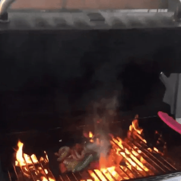 1 + 1 GRATIS VANDAAG  GrillaBag™