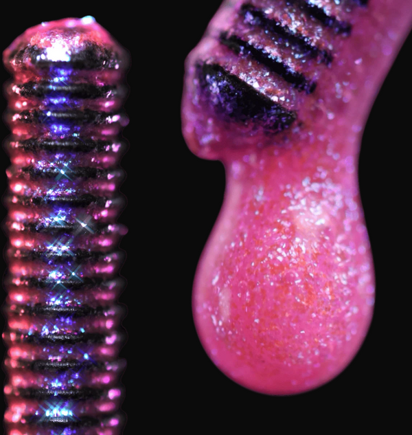 1 + 1 GRATIS VANDAAG  SparkLash™