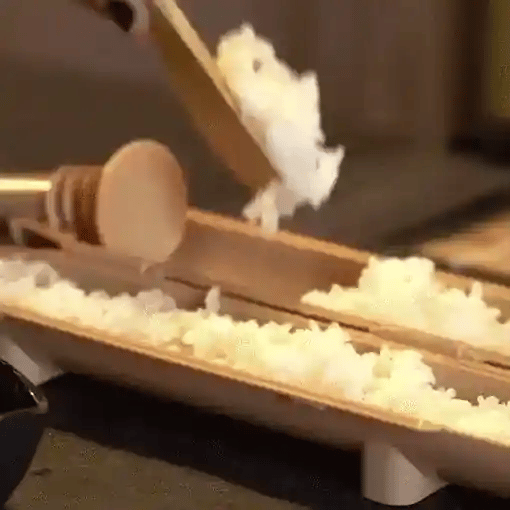 1 + 1 GRATIS VANDAAG  SushiGenie™ 