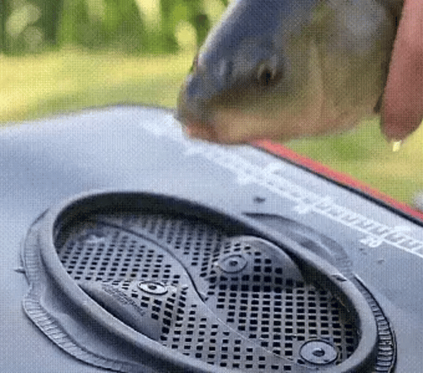 TIJDELIJK 50% KORTING  CatchKeeper™