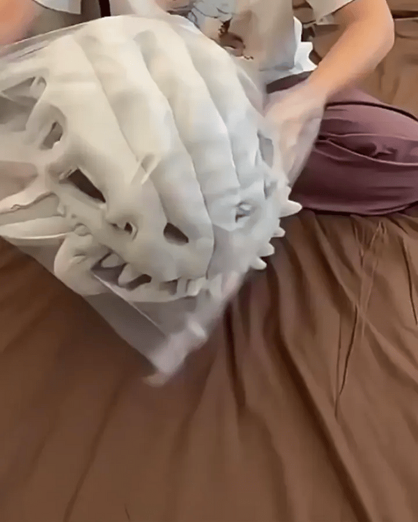 TIJDELIJK 50% KORTING  DinoRoar™