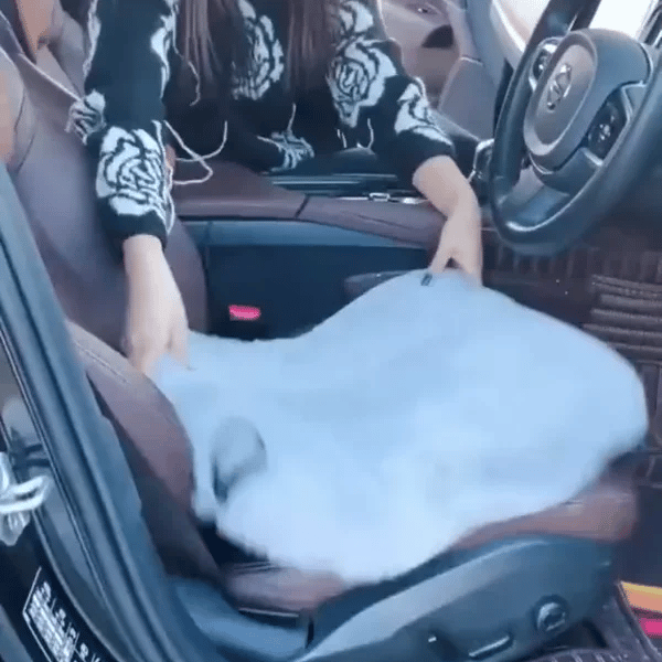 TIJDELIJK 50% KORTING  CozyRide™