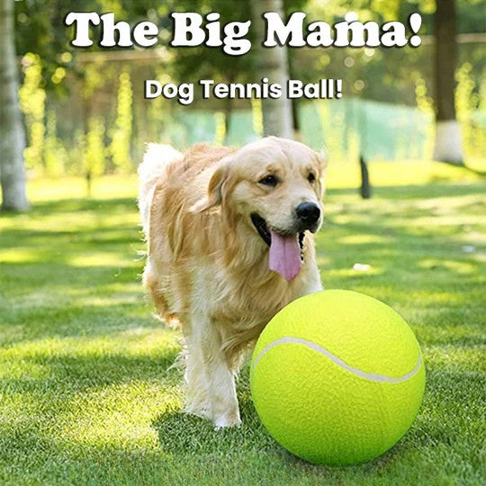 TIJDELIJK 50% KORTING | MegaFetch™