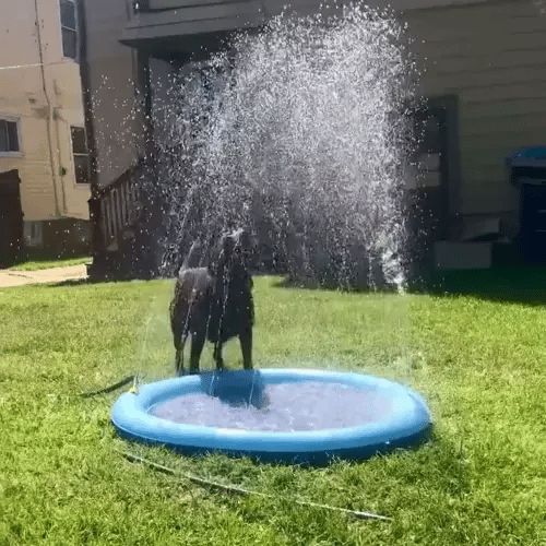 TIJDELIJK 50% KORTING  SplashPaws™ - Spatmat