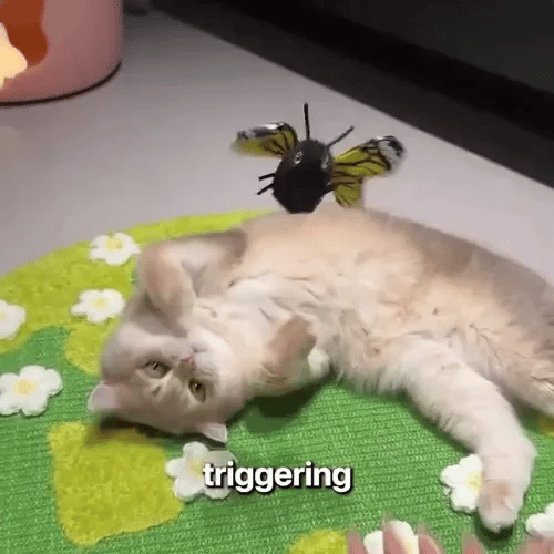 TIJDELIJK 50% KORTING  PawBuzz™ - Interactief vliegend kattenspeelgoed