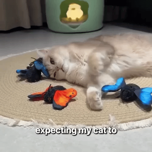 TIJDELIJK 50% KORTING  PawBuzz™ - Interactief vliegend kattenspeelgoed