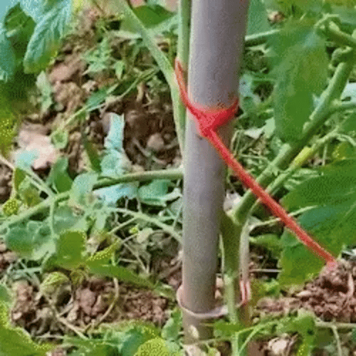 KabelGrip Handige Kabelbinders