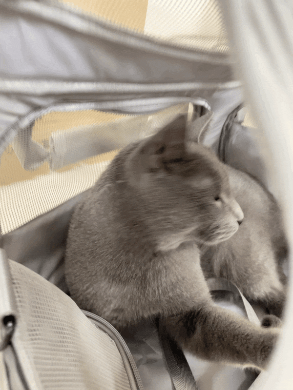 TIJDELIJK 50% KORTING  PetVoyage™ - Uitbreidbare Huisdierrugzak