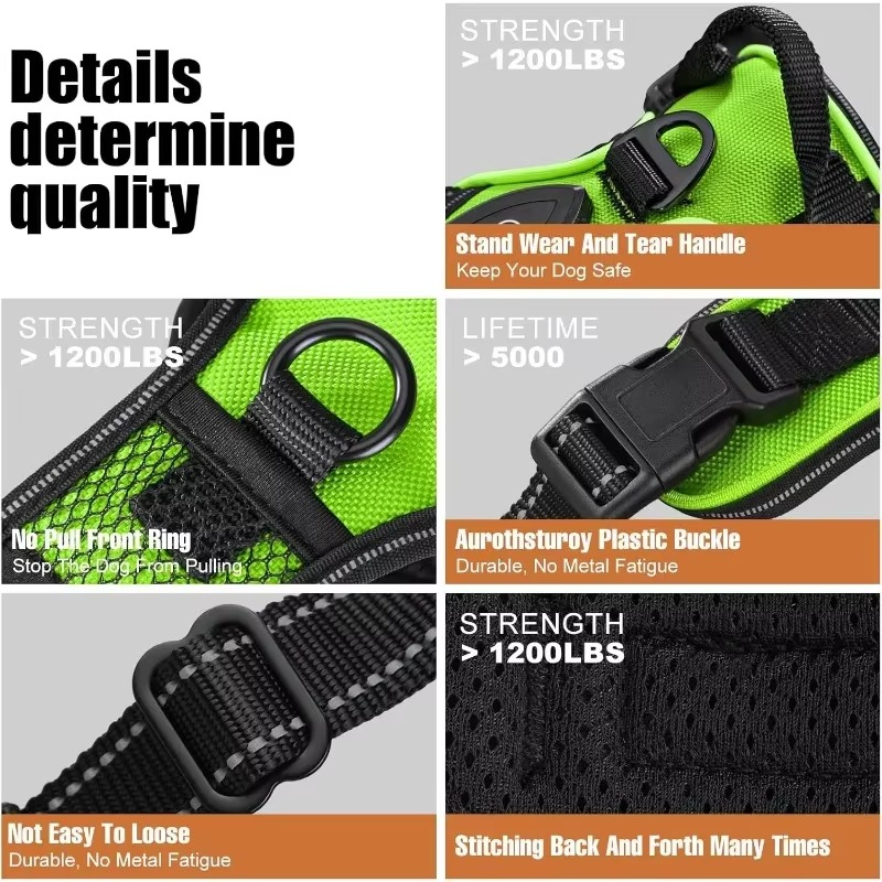 TIJDELIJK 50% KORTING | GloLeash™