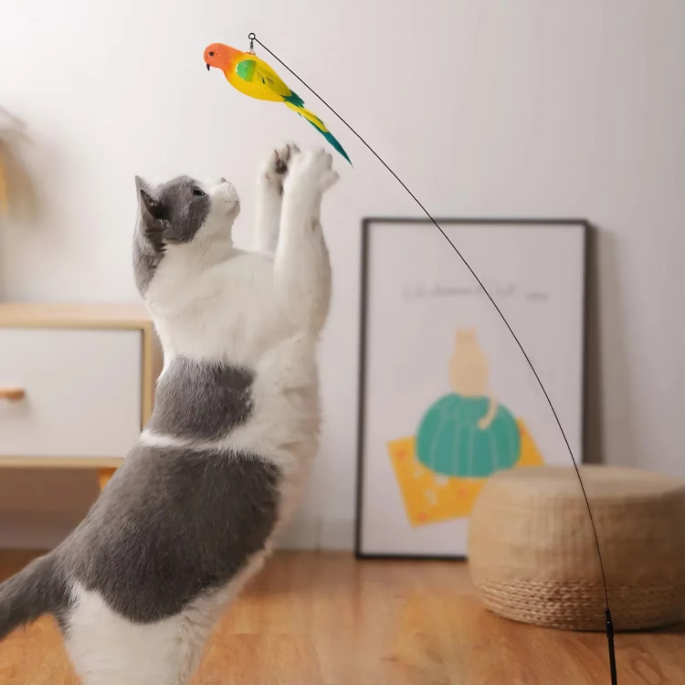 1 + 1 GRATIS VANDAAG | WhiskerWand™ | Zet luie middagen om in wilde jachtpartijen!