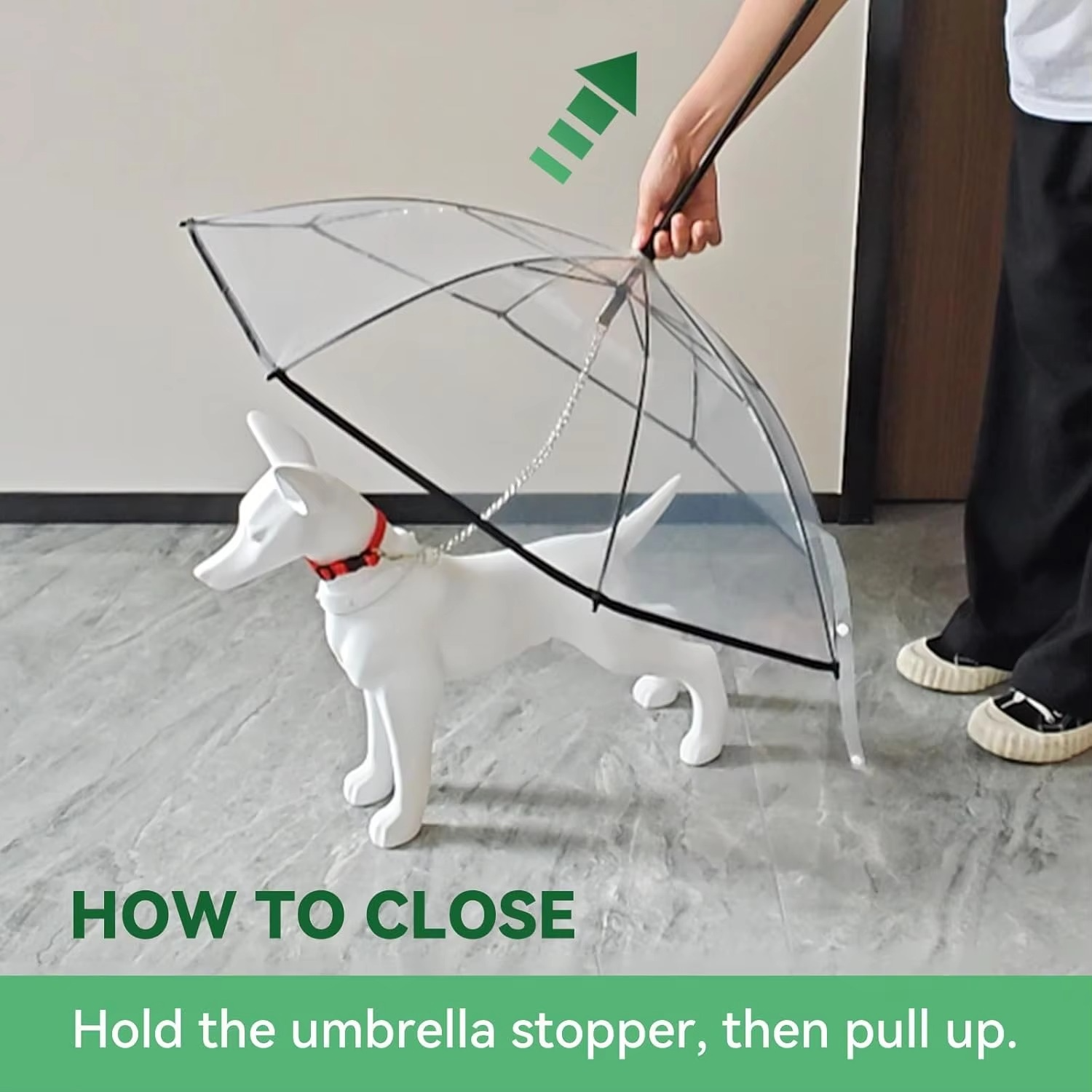 TIJDELIJK 50% KORTING | PawBrella™