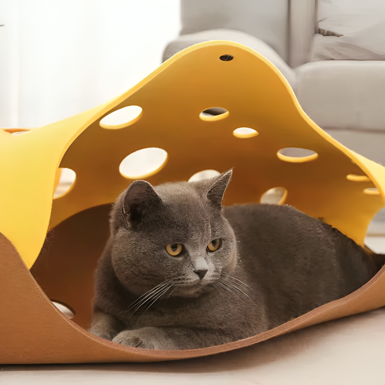 CatCove™ | Een leuke manier om katten actief en fit te houden!