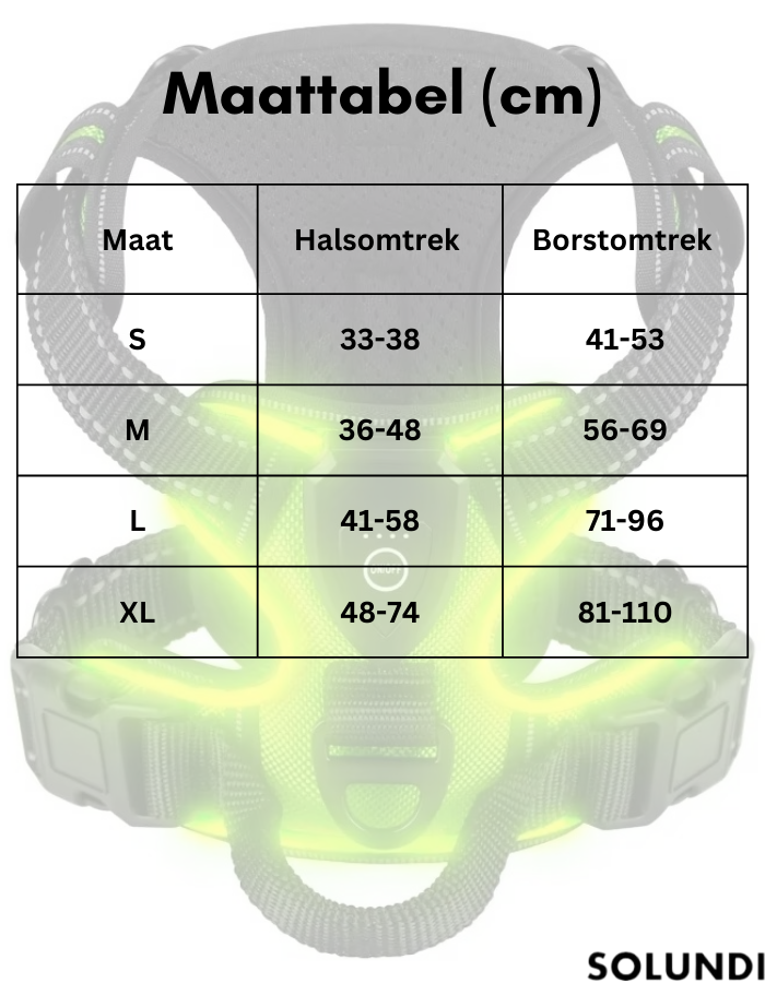 TIJDELIJK 50% KORTING | GloLeash™