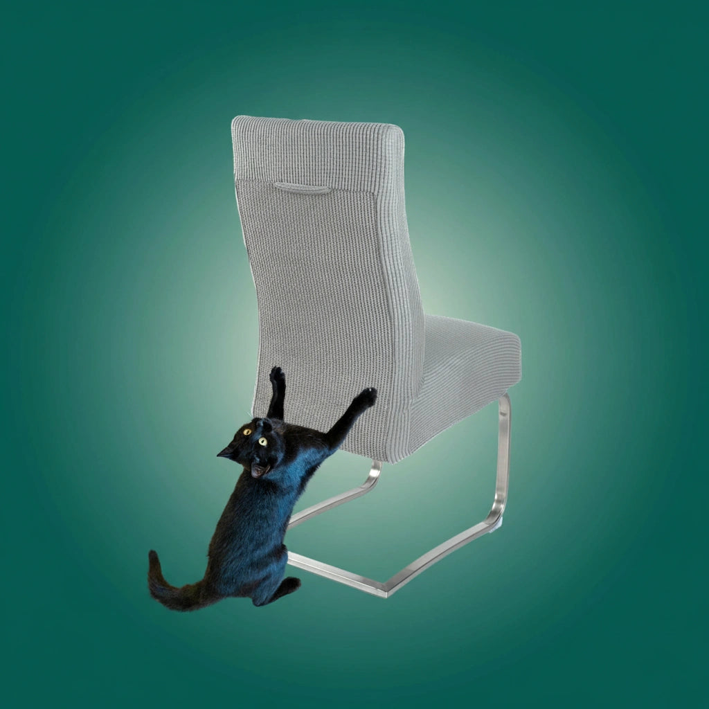 TIJDELIJK 50% KORTING | ScratchSeat™